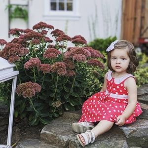 Janie and Jack sleeveless dress